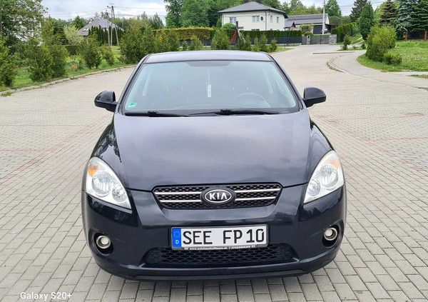 Kia Pro_cee'd cena 17900 przebieg: 170000, rok produkcji 2008 z Biała Podlaska małe 137